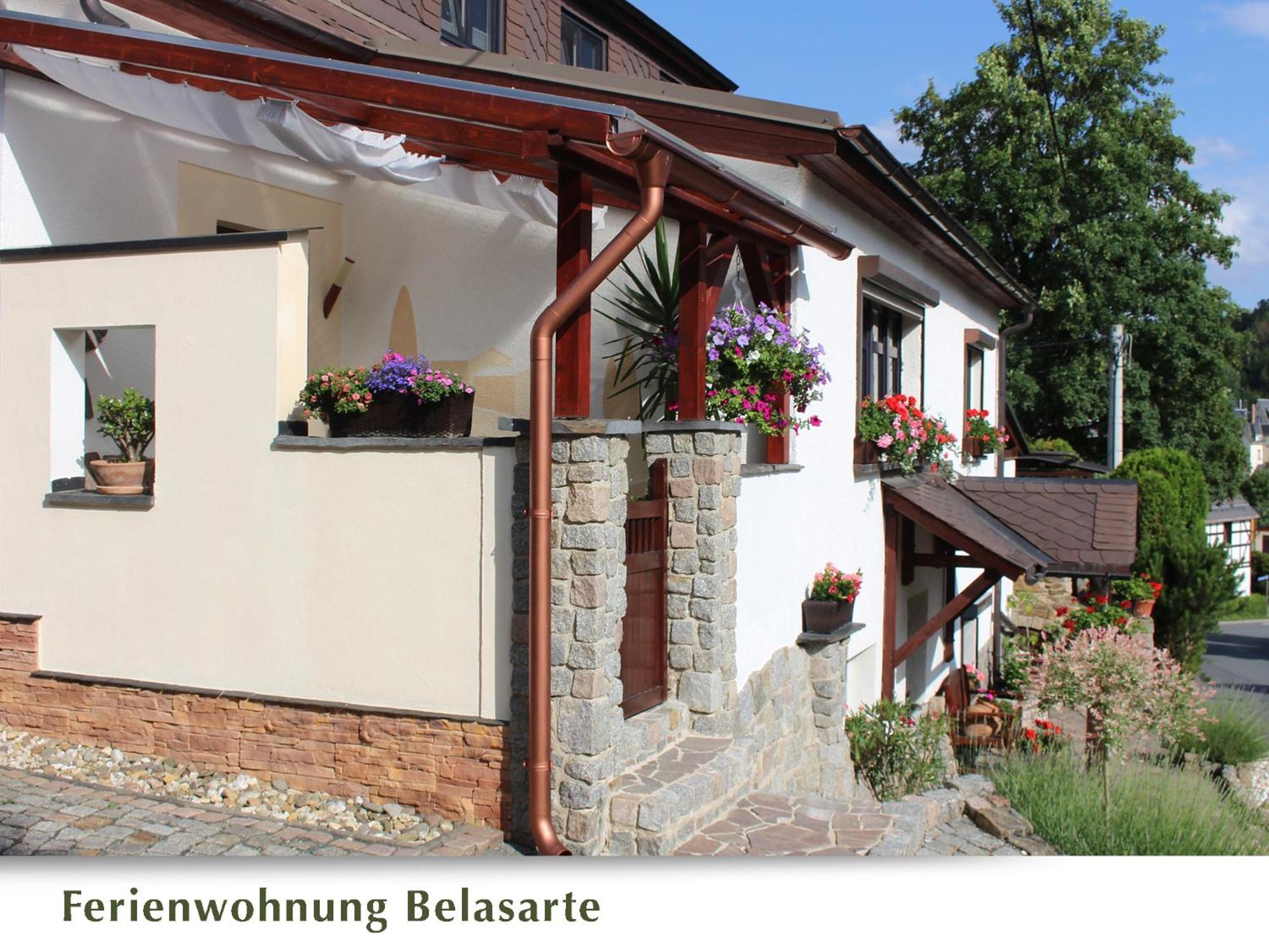 Ferienwohnung Belasarte Bad Elster Dış mekan fotoğraf